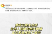娱乐吃瓜壁纸高清图下载,一网打尽娱乐圈新鲜事